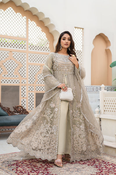 HZ Ready Made Embroidered Organza Formal Dress