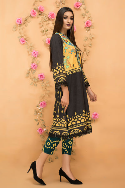 Winter Ready To Wear Khaddar Printed Dress By Dress Code 06 – The Zaibai
