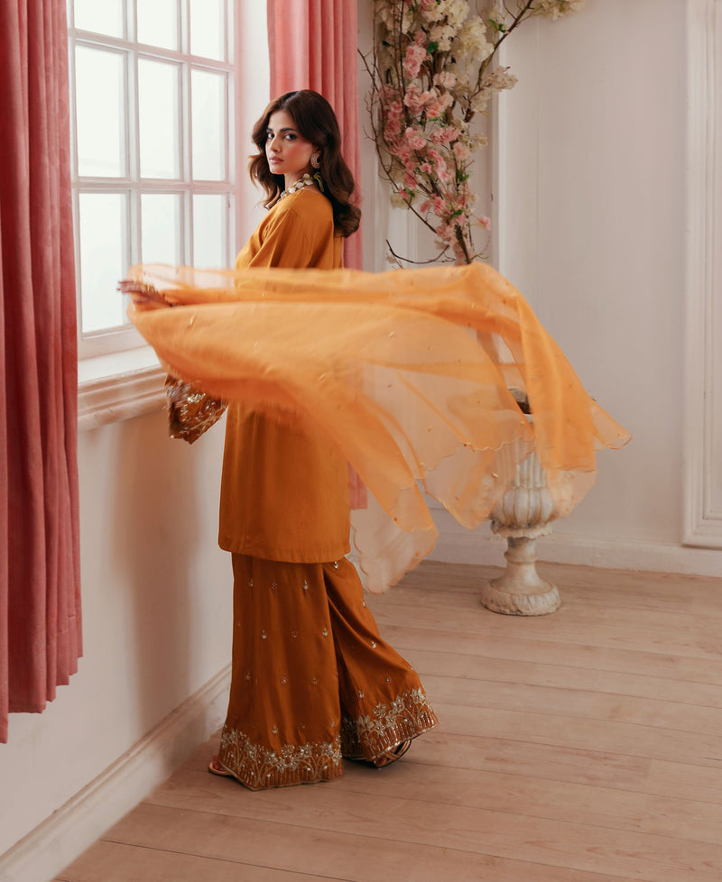 Zehra by Ain Raw Silk Festive Designer Womenswear ZAR6