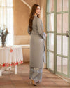 Day to Night by Mona – Raw Silk Chikankari 2pc Co-ord Set DNM4