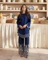 Day to Night by Mona – Raw Silk Chikankari 2pc Co-ord Set DNM9