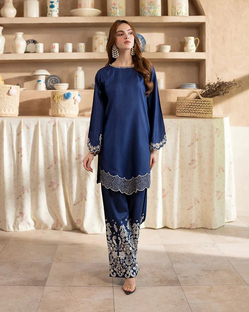 Day to Night by Mona – Raw Silk Chikankari 2pc Co-ord Set DNM9