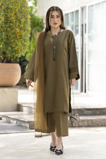 Aabpara Simply Warm Linen 3pc Ready to Wear with Dyed Net Dupatta SWA6