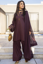 Aabpara’s Timeless Farshi Charm – FTA7