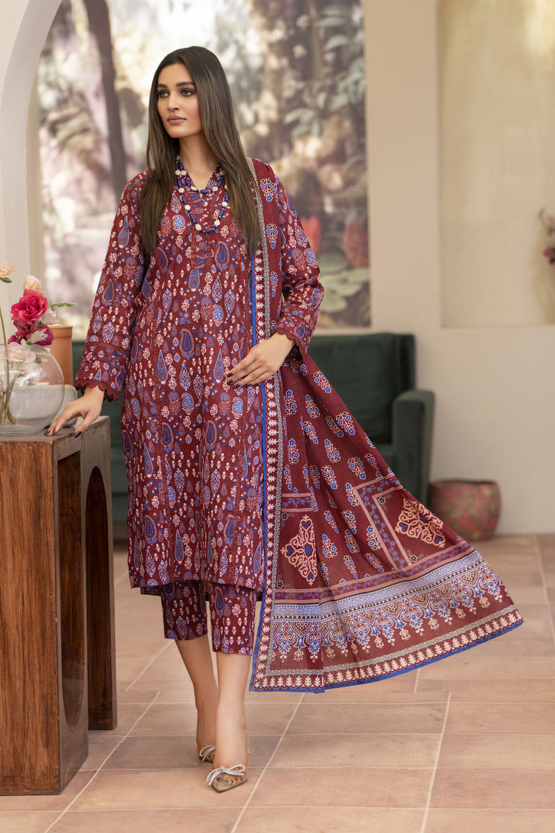 3pc Ready to Wear Breeze by Aabpara BBA5