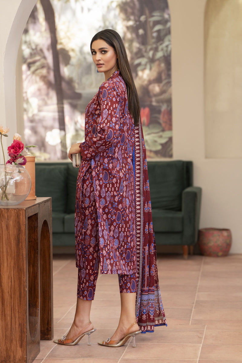 3pc Ready to Wear Breeze by Aabpara BBA5