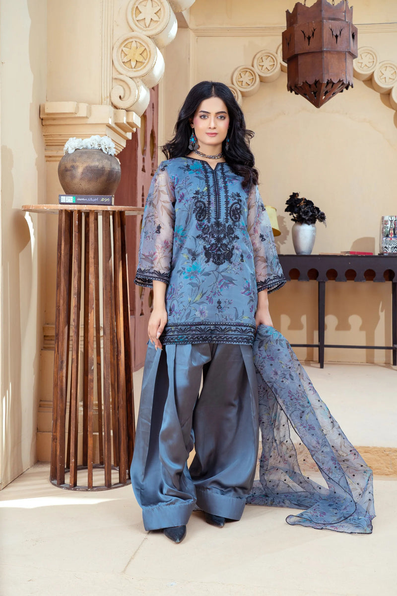 Slate Blue Organza Embroidered Shirt with Deep Charcoal Silk Farshi Shalwar – RNK4