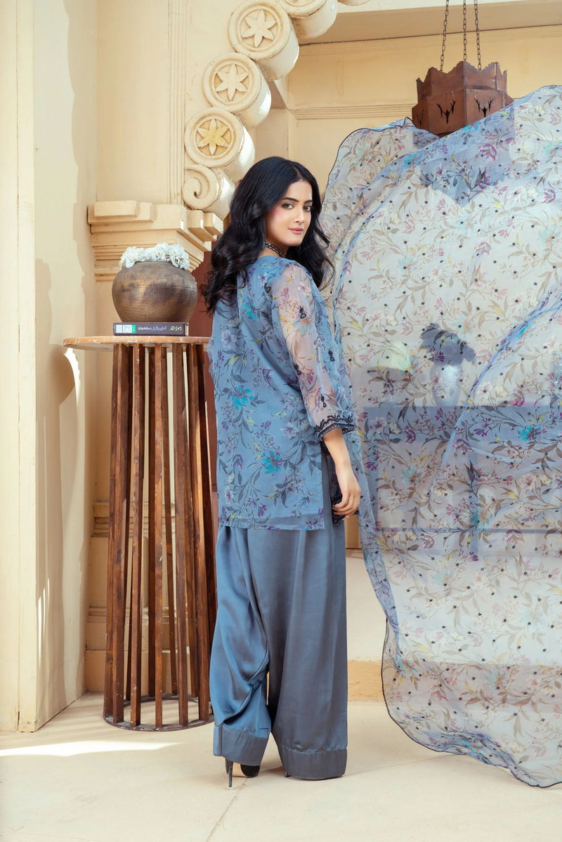 Slate Blue Organza Embroidered Shirt with Deep Charcoal Silk Farshi Shalwar – RNK4