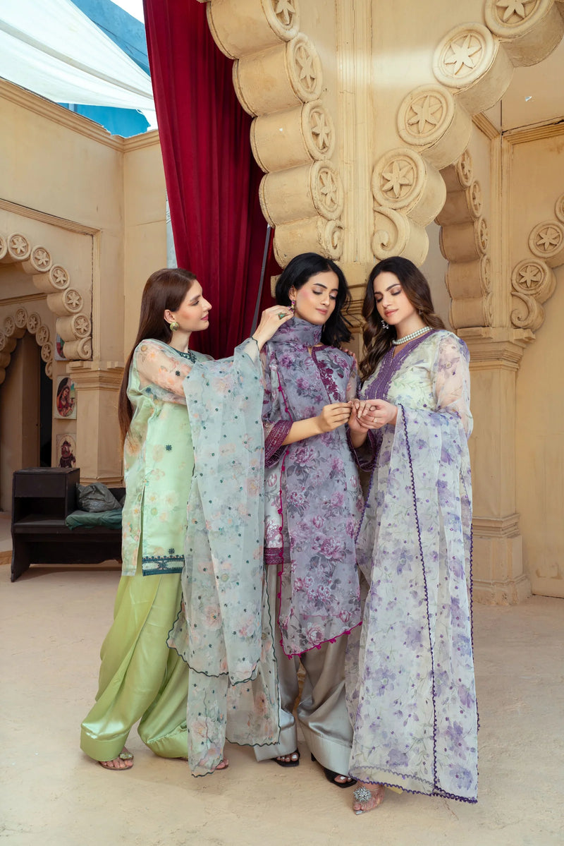 Mint Green Organza Embroidered Short Shirt with Silk Farshi Shalwar – RNK1