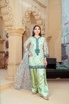 Mint Green Organza Embroidered Short Shirt with Silk Farshi Shalwar – RNK1