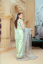 Mint Green Organza Embroidered Short Shirt with Silk Farshi Shalwar – RNK1
