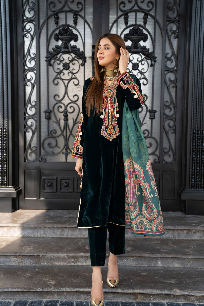 VOGUE VISTAS VELVET EMBROIDERED DRESS BY ZAIWA ZB7 – The Zaibai