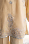 Champagne Gold Embroidered 3pc Raw Silk Suit – Ros2 by Gul Warun