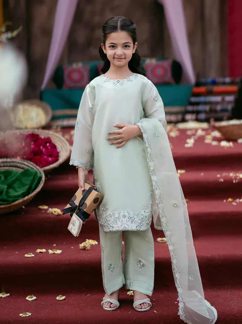Rafey Rangrez Rangrez by Mona 3pc Embroidered Silk Palazzo Suit RG2 – The Zaibai