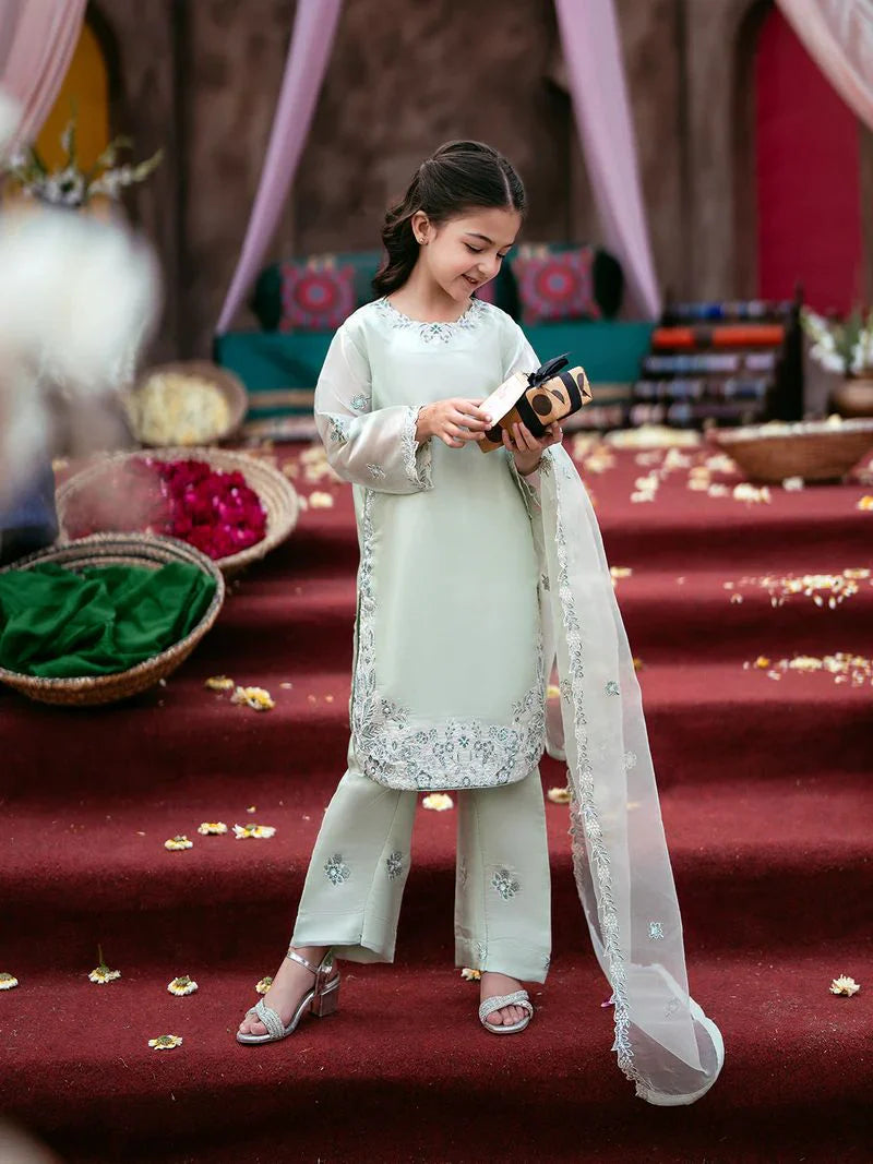 Rafey Rangrez Rangrez by Mona 3pc Embroidered Silk Palazzo Suit RG2 – The Zaibai