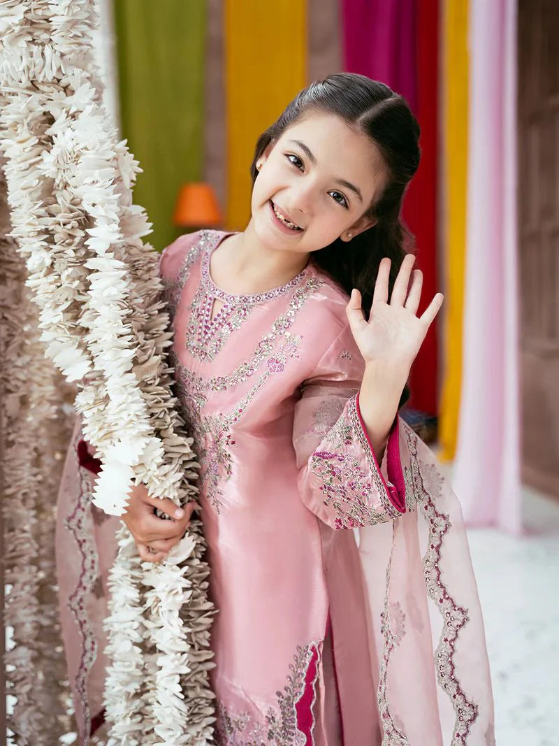 Rangrez by Mona 3pc Embroidered Silk Palazzo Suit RG4 – The Zaibai
