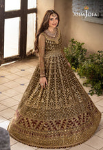 ASIM JOFA KHWAB-E-NAUBAHAR 11