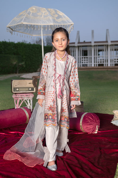 Ready to Wear Original Pakistani Designer Dresses – The Zaibai