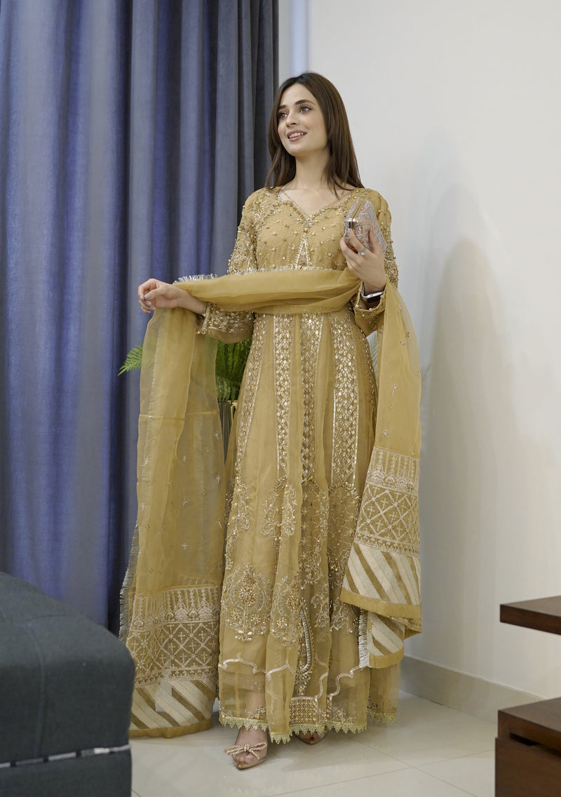 ORGANZA FORMAL HANDWORK LONG FROCK 02