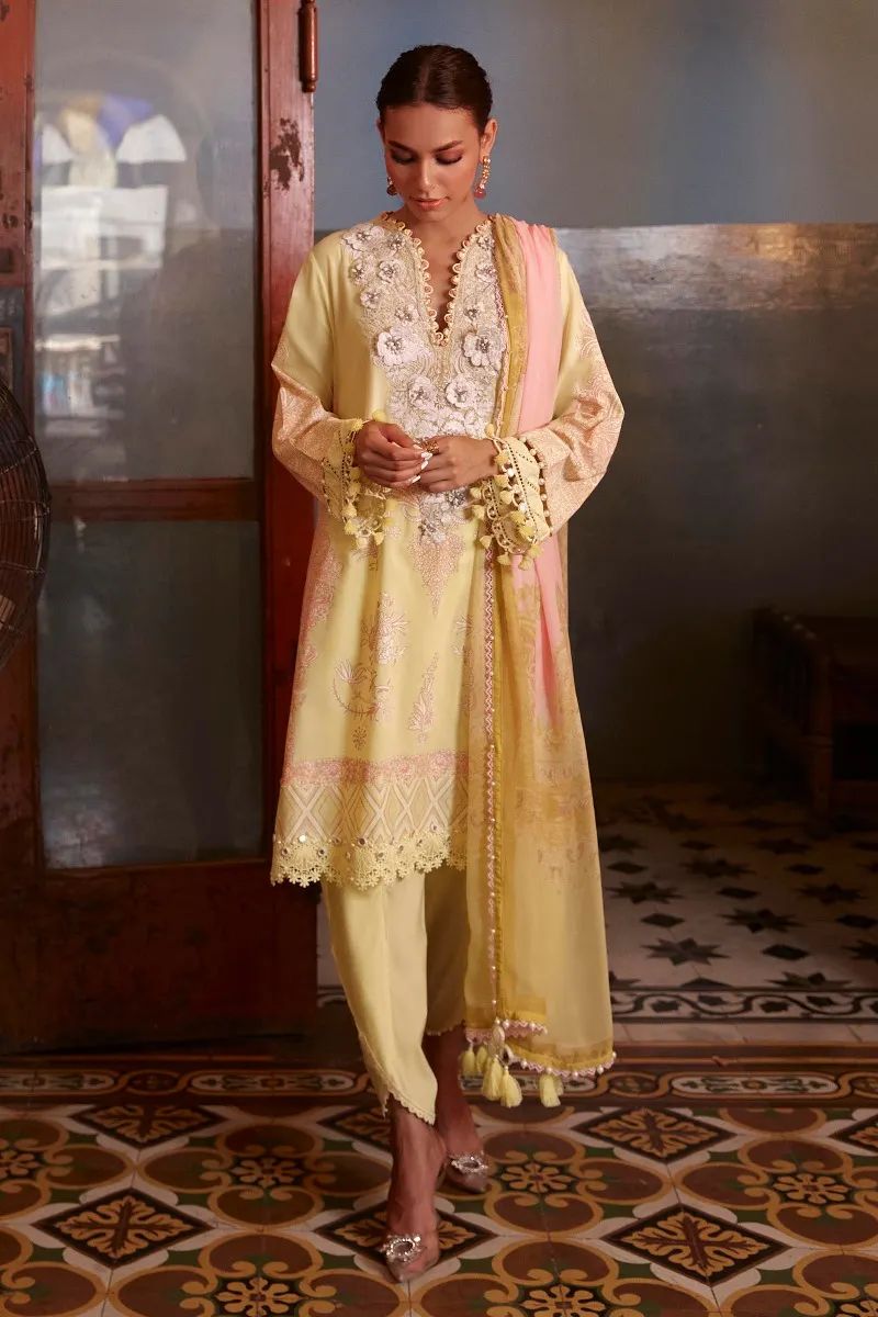 Sana Safinaz Muzlin Ready to Wear Embroidered Lawn Collection 17B