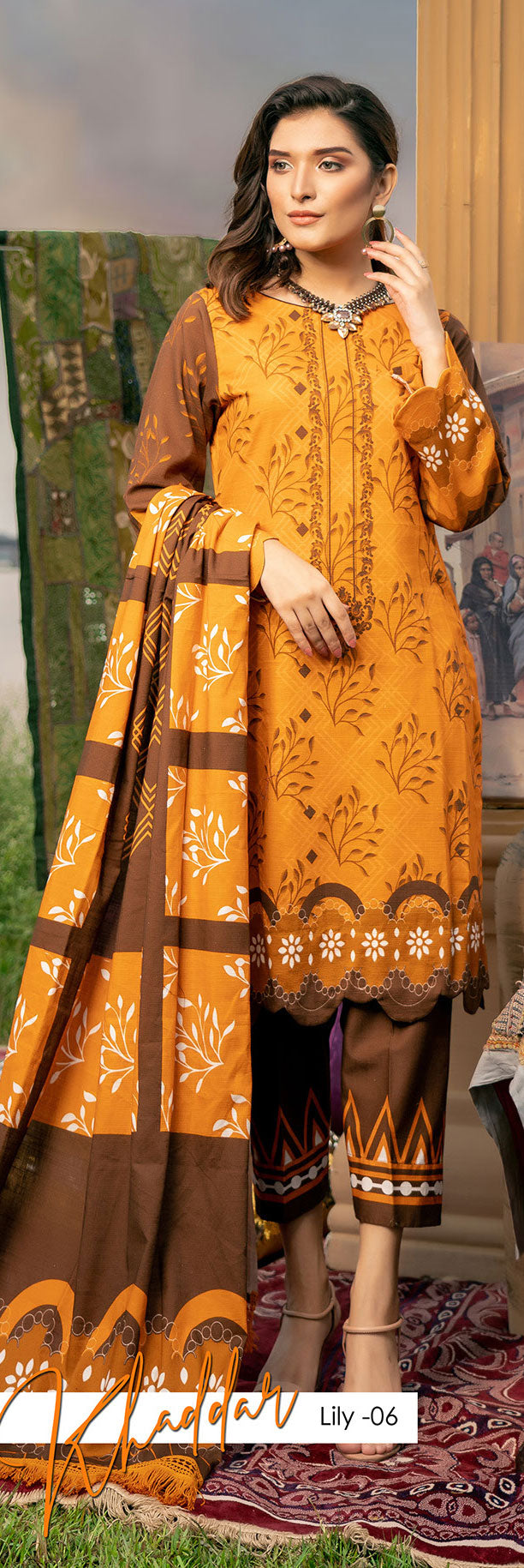 Winter Ready To Wear Digital Linen Dress By Noorma Kaamal 06