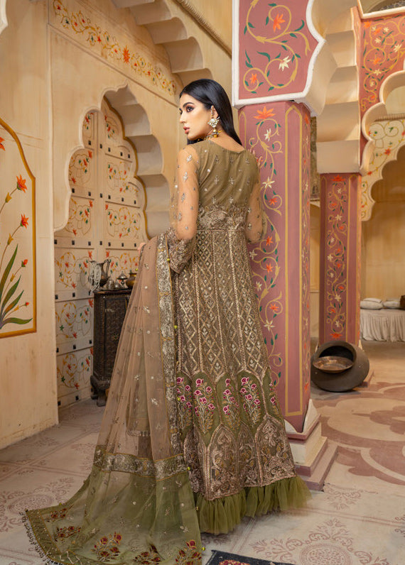 Luxury Formal Ready To Wear Net Collection By NOORMA KAMA 02