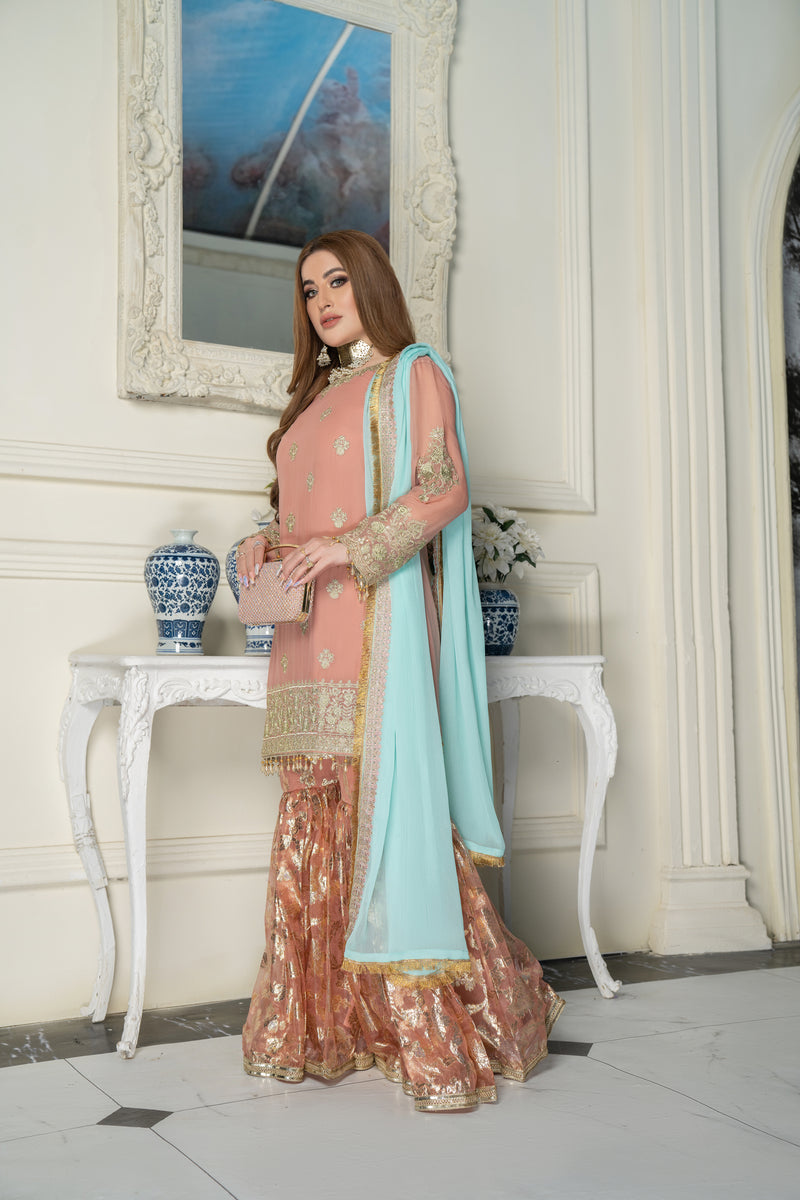 Luxury Formal Ready to Wear Embroidered Dress by Aleezay 09