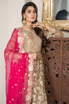 Luxury Ready to Wear Formal Collection by Aleezay 07