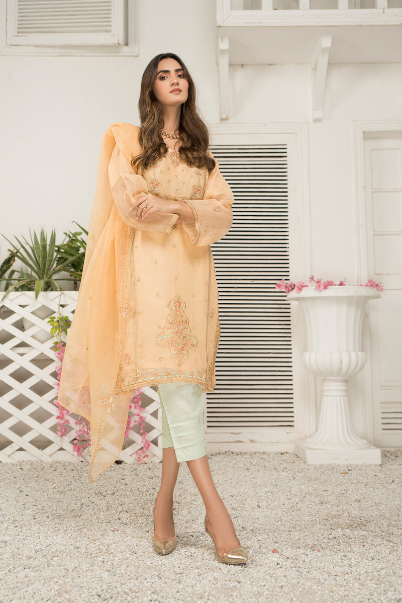 Ready To Wear 3 Pcs Semi Formal Embroidered Dress By ARWAH 05 The Zaibai Ready To Wear 3 Pcs Semi Formal Embroidered Dress By ARWAH 05 The Zaibai