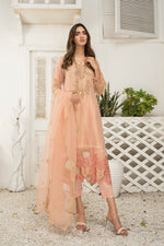 Ready To Wear 3 Pcs Semi Formal Embroidered Dress By ARWAH 06