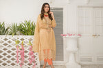 Ready To Wear 3 Pcs Semi Formal Embroidered Dress By ARWAH 11