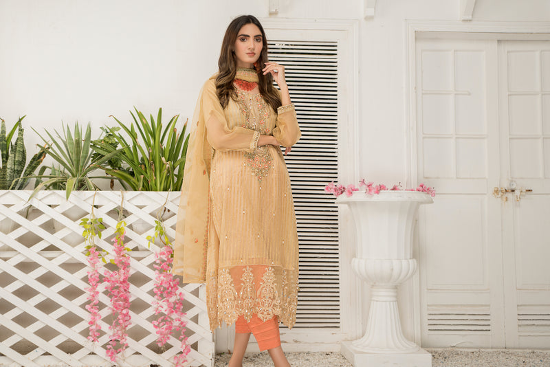 Ready To Wear 3 Pcs Semi Formal Embroidered Dress By ARWAH 11