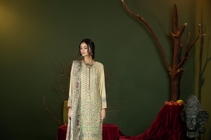 Winter Ready to Wear Shawl Collection by Mona 07