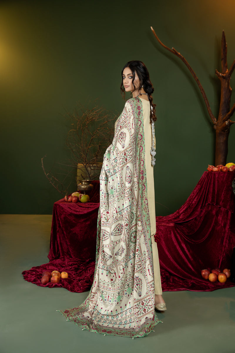 Winter Ready to Wear Shawl Collection by Mona 07