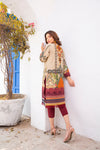 Ready to Wear 2 Pcs Dress with Handwork Details by Aleezay 07
