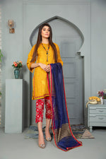 Winter Ready to Wear Embroidered Collection by Aleezay 07