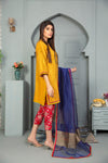 Winter Ready to Wear Embroidered Collection by Aleezay 07