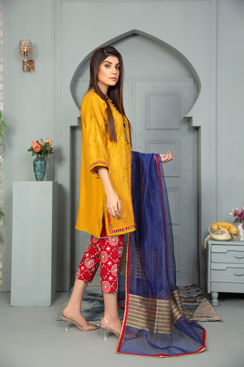 Winter Ready to Wear Embroidered Collection by Aleezay 07