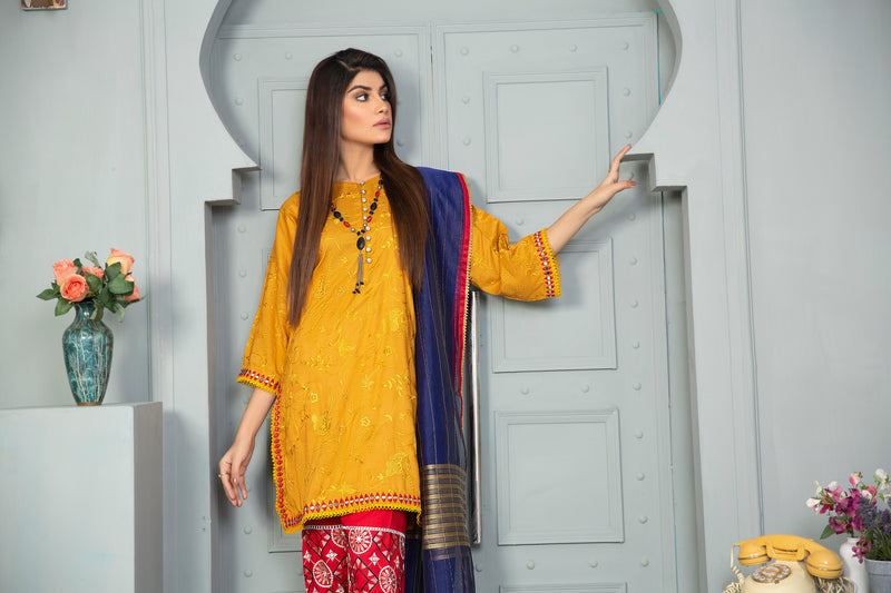 Winter Ready to Wear Embroidered Collection by Aleezay 07