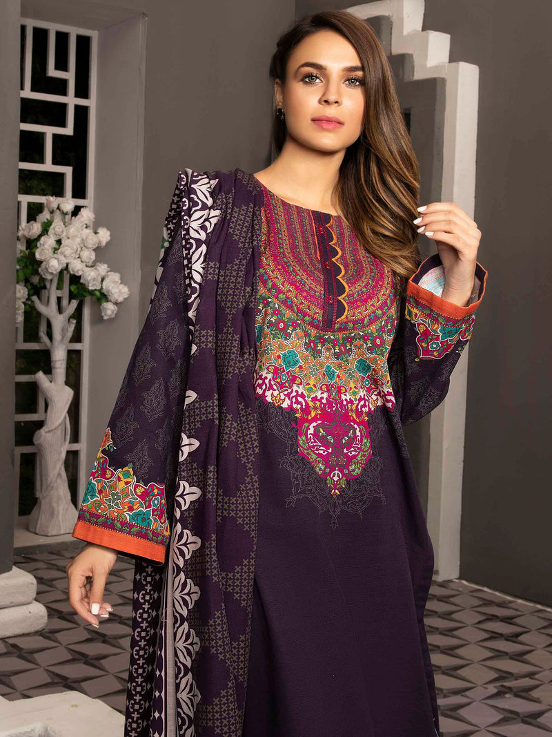 Limelight Winter Ready to Wear Dress 07