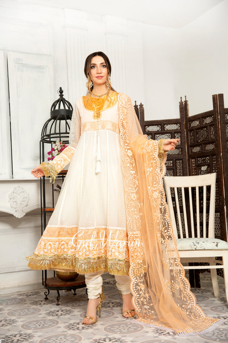 Gulwarun Ready to Wear Chiffon Embroidered Dress G14