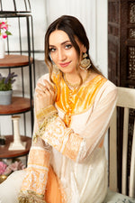 Gulwarun Ready to Wear Chiffon Embroidered Dress G14